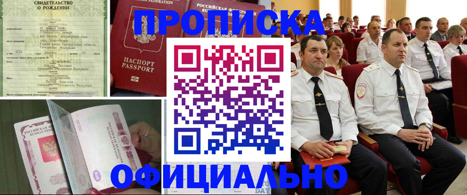 форма 3 в Петропавловске-Камчатском